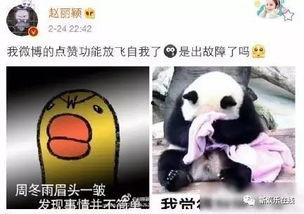 周冬雨表情包鸭子,萌态可掬，笑点满满