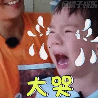 嗯哼生气表情包,萌态尽显，逗趣横生