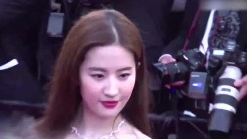 娱乐之我的姐姐是女神