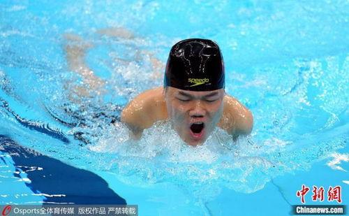 郑涛图片,镜头下的光影故事